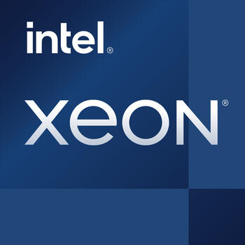 Intel Xeon E-2386G, 6C/12T, 3.50-5.10GHz, tray, Sockel Intel 1200 (LGA1200), Socket H5, Rocket Lake-E CPU