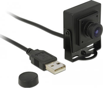 Delock USB 2.0 Kamera 2,1 Megapixel 100° Fixfokus 