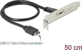 Delock USB 3.1 Gen 2 Slotblech mit 1 x USB Type-C Port 