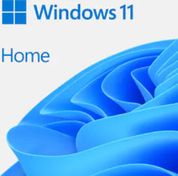 Microsoft Windows 11 Home 64Bit, DSP/SB, USB-Stick (deutsch) 