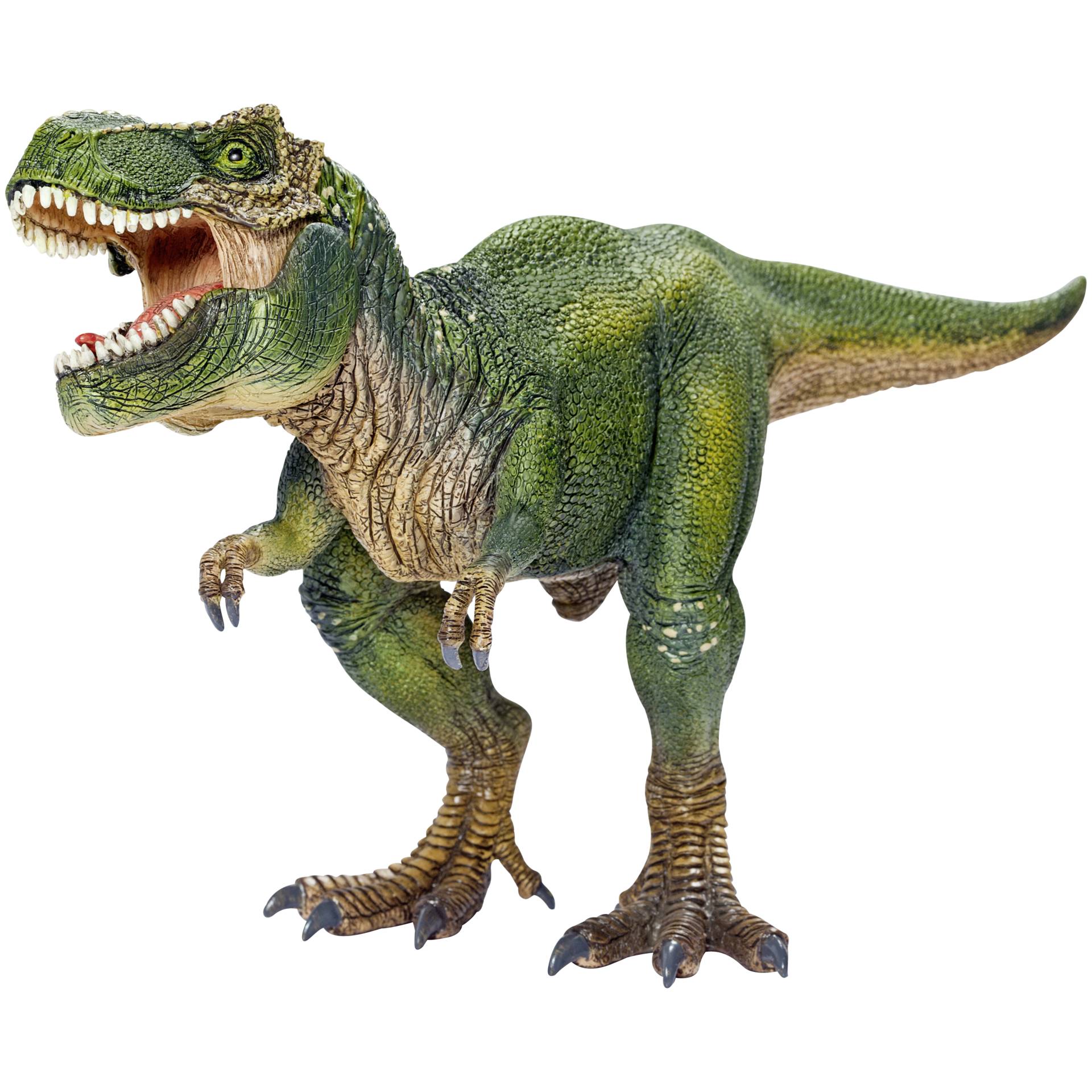 Schleich Dinosaurs         14525 Tyrannosaurus Rex