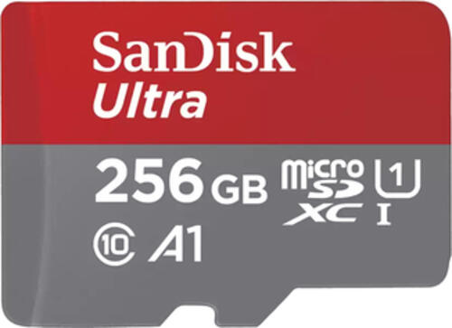 SanDisk SDSQUAC-256G-GN6FA Speicherkarte 256 GB MicroSDXC UHS-I