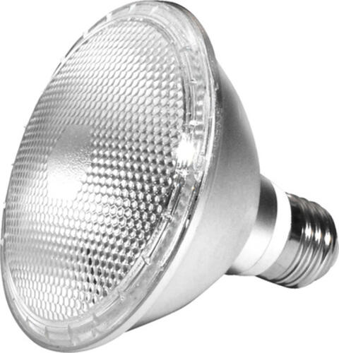 Segula 50646 LED-Lampe 2700 K 60 W E27