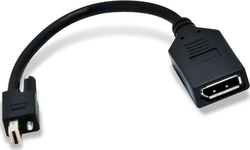 Matrox Mini DisplayPort to DisplayPort adapter / CAB-MDP-DPF