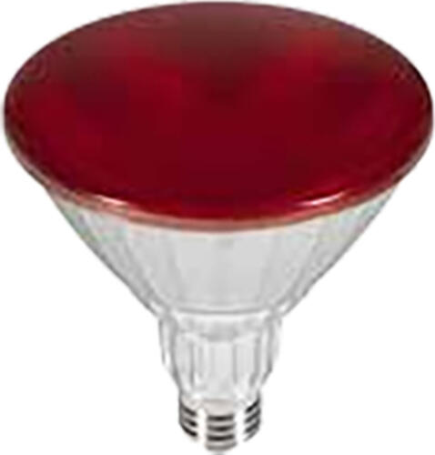 Segula 50764 LED-Lampe 18 W E27