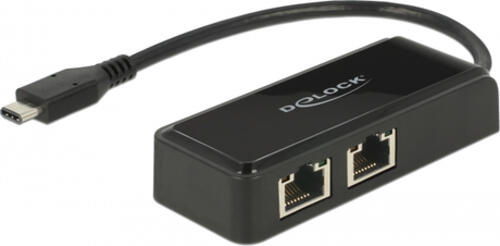 DeLOCK 2x RJ-45, USB-C 3.0 [Stecker]