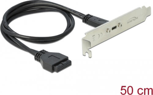 DeLOCK Slotblech 1x USB 3.1 Gen1 C - Digital/Daten - 0,5 m