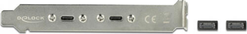 DeLOCK Slotblech mit 2 x USB Type-C Port