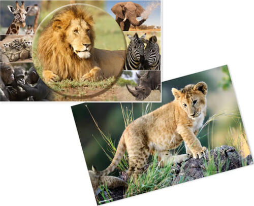 HERMA Schreibunterlage Afrika Tiere Schreibtischunterlage Karton Mehrfarbig