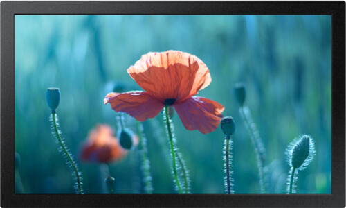 Samsung QB13R Digital Signage Flachbildschirm 33 cm (13) WLAN 300 cd/m Full HD Schwarz Tizen 4.0