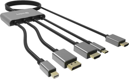 Sandberg 509-21 Videokabel-Adapter 2 m HDMI Typ A (Standard) DisplayPort + Mini DisplayPort + HDMI + USB Type-C Schwarz