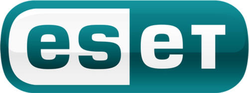 ESET EFS-N2-A1 Software-Lizenz/-Upgrade 1 Lizenz(en) Mehrsprachig 2 Jahr(e)