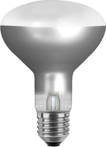 Segula 55727 LED-Lampe Warmweiß 6,5 W E27 G