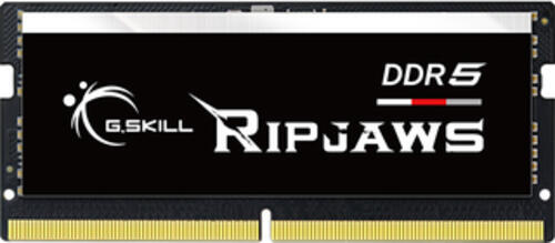 G.Skill Ripjaws F5-4800S4039A16GX1-RS Speichermodul 16 GB 1 x 16 GB DDR5 4800 MHz