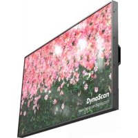 DynaScan DS491LT5 Signage-Display
