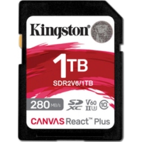 Kingston Technology 1TB Canvas