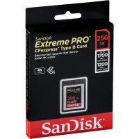 SanDisk SDCFE-256G-GN4NN Speicherkarte