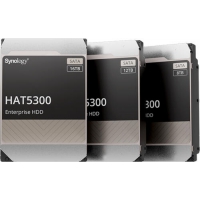 Synology HAT5300-16T Interne Festplatte