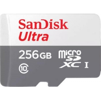 256 GB SanDisk Ultra microSDXC