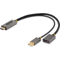 0,3m HDMI auf DisplayPort Adapter/Kabel,