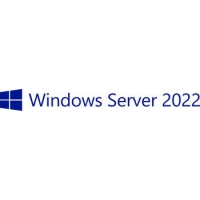 Microsoft Windows Server 2022, 10 User CAL 
