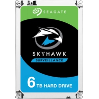 Seagate SkyHawk ST6000VX001 Interne