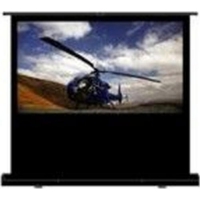 Optoma DP-9092MWL projection screen