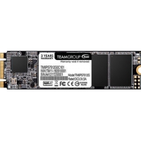 512 GB SSD TeamGroup MS30 SSD TM8PS7,