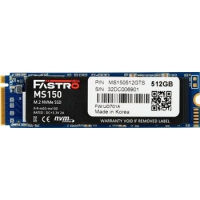 512 GB SSD MEGA Electronics Fastro