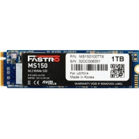 1.0 TB SSD MEGA Electronics Fastro