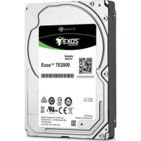1.0 TB HDD Seagate Exos E 7E2000-Festplatte,