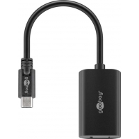 0,2m USB-C auf DisplayPort Adapter 